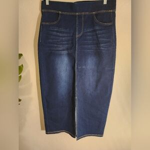 Classic Blue Long Skirt Elastic Waist